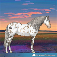 Horse Color:Gray Silver Buckskin Pearl Tobiano Near Leopard 