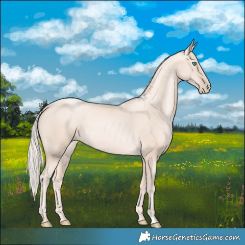 Horse Color:Gold Cream Champagne Pearl 