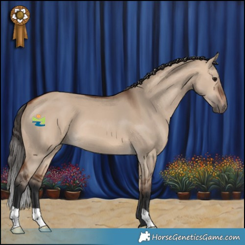 Horse Color:Bay Dun 