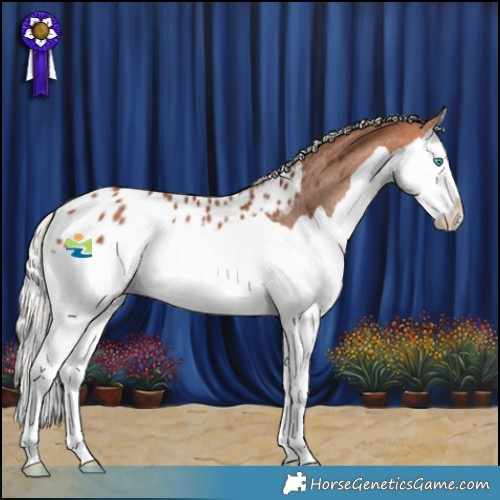 Horse Color:Silver Bay Splash Blanket Rabicano 