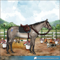 Horse Color:White Spotted Brown Dun Rabicano 