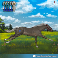 Horse Color:Silver Smoky Black Tobiano 