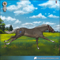 Horse Color:Silver Smoky Black Tobiano 