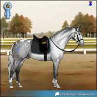 Horse Color:Gray White Spotted Silver Brown Splash Tobiano Appaloosa 