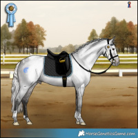 Horse Color:Gray White Spotted Silver Brown Splash Tobiano Blanket 
