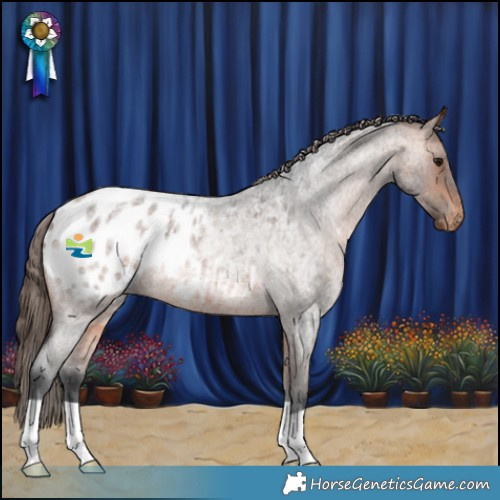 Horse Color:Bay Roan Appaloosa Rabicano 