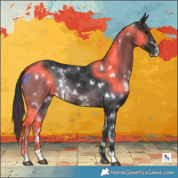 Horse Color:White Spotted Brown Sabino Rabicano 