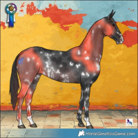 Horse Color:White Spotted Brown Sabino Rabicano 