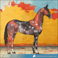 Horse Color:White Spotted Brown Sabino Rabicano