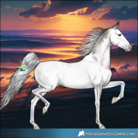 Horse Color:Gray Classic Champagne Roan Splash Near Fewspot Rabicano 