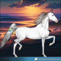 Horse Color:Gray Classic Champagne Roan Splash Appaloosa Rabicano 