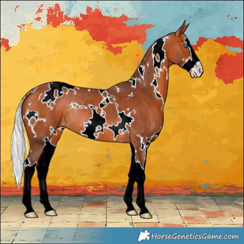 Horse Color:White Spotted Silver Bay Splash Rabicano 