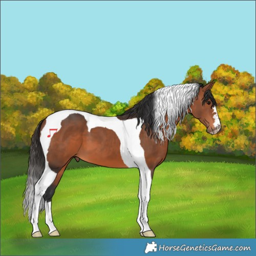 Horse Color:Bay Tobiano 