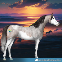 Horse Color:Bay Roan Splash Varnish 