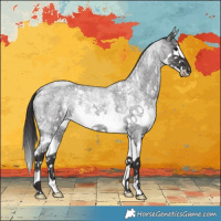 Horse Color:Smoky Blue Roan Sabino Splash 
