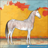 Horse Color:Bay Roan Splash Varnish 