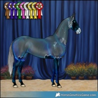 Horse Color:Black Sabino Splash