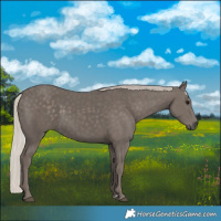 Horse Color:Silver Black 