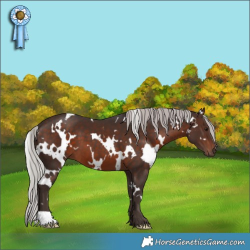 Horse Color:White Spotted Silver Brown Mushroom 
