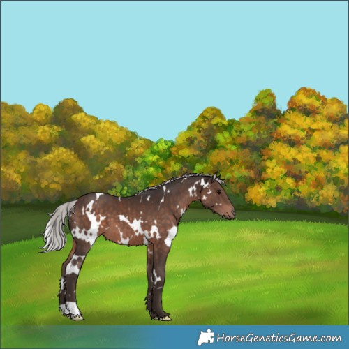 Horse Color:White Spotted Silver Brown Mushroom 