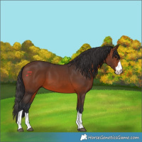 Horse Color:Brown 