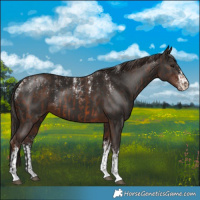 Horse Color:Powder White Bay and Powder White White Spotted Liver Chestnut
