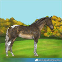 Horse Color:Silver Buckskin Tobiano