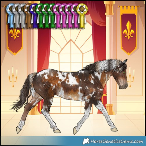 Horse Color:White Spotted Chocolate Palomino Tobiano  and White Spotted Liver Chestnut Tobiano 