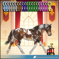 Horse Color:White Spotted Chocolate Palomino Tobiano and White Spotted Liver Chestnut Tobiano