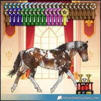 Horse Color:White Spotted Chocolate Palomino Tobiano and White Spotted Liver Chestnut Tobiano