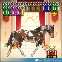 Horse Color:White Spotted Chocolate Palomino Tobiano  and White Spotted Liver Chestnut Tobiano 