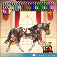 Horse Color:White Spotted Chocolate Palomino Tobiano  and White Spotted Liver Chestnut Tobiano 