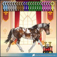 Horse Color:White Spotted Chocolate Palomino Tobiano and White Spotted Liver Chestnut Tobiano