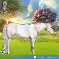 Horse Color:Chocolate Palomino Dun Sabino Tobiano Rabicano