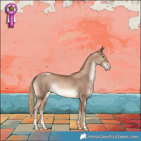 Horse Color:Liver Chestnut Pearl 