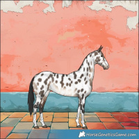 Horse Color:Brown Dun Near Leopard Brindle 