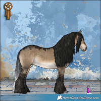 Horse Color:Gray Brown Dun 