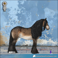 Horse Color:Gray Brown Dun