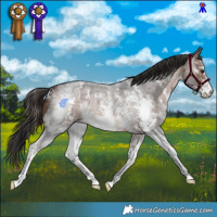 Horse Color:Brown Roan Sabino 