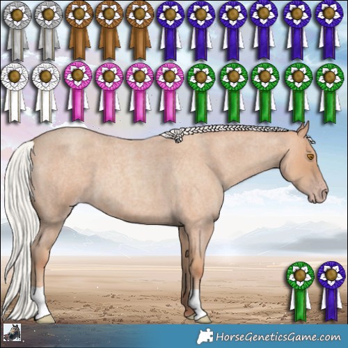 Horse Color:Silver Classic Champagne Roan 