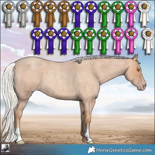 Horse Color:Silver Classic Champagne Roan 