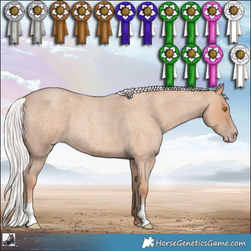Horse Color:Silver Classic Champagne Roan 