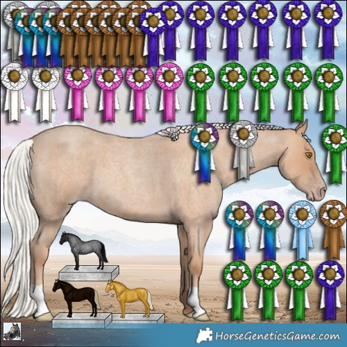 Horse Color:Silver Classic Champagne Roan 