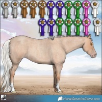 Horse Color:Silver Classic Champagne Roan 