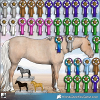 Horse Color:Silver Classic Champagne Roan