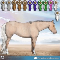 Horse Color:Silver Classic Champagne Roan
