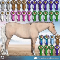 Horse Color:Silver Classic Champagne Roan 