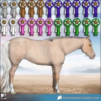 Horse Color:Silver Classic Champagne Roan 