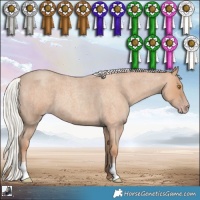 Horse Color:Silver Classic Champagne Roan 