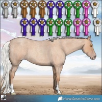 Horse Color:Silver Classic Champagne Roan